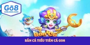 Blog Cá Cược Go8 – Thông Tin Và Mẹo Hay Trăm Trận Trăm Thắng