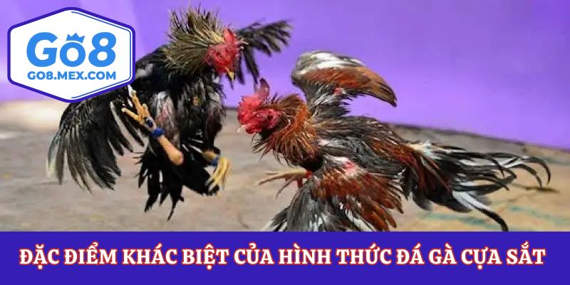 Đá Gà Cựa Sắt – Thể Loại Chọi Gà Đáng Xem Bậc Nhất