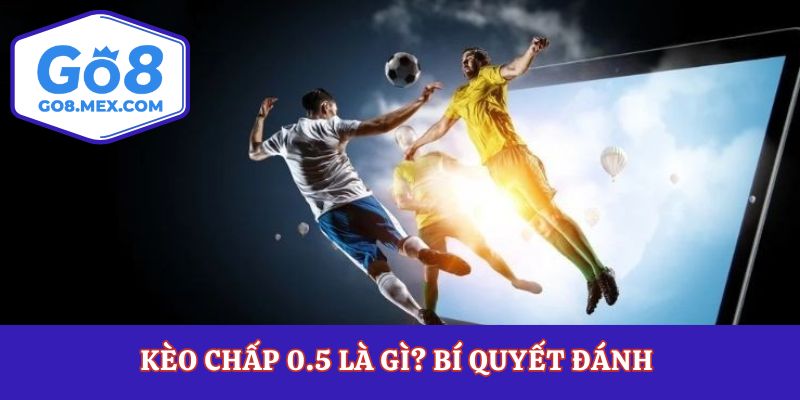 Kèo Chấp 0.5 Là Gì? Bí Quyết Đánh Khi Kèo Chấp Hòa Xuất Hiện