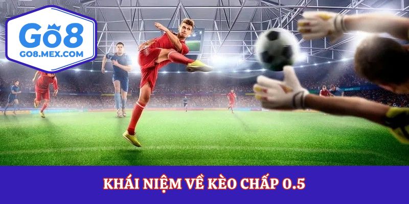 Kèo Chấp 0.5 Là Gì? Bí Quyết Đánh Khi Kèo Chấp Hòa Xuất Hiện