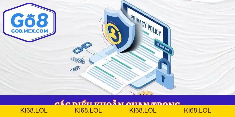 Chính Sách Sử Dụng Và Những Quy Định Hội Viên Cần Biết