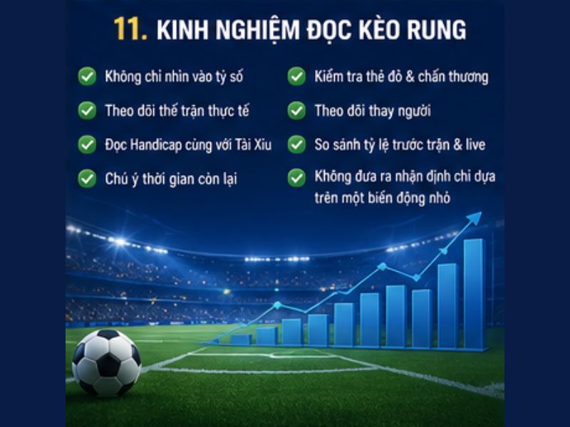 Kèo Rung GO8 Là Gì? Cách Đọc Và Phân Tích Kèo Rung