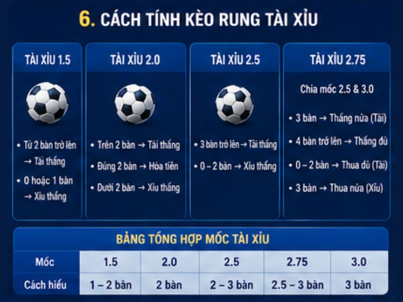 Kèo Rung GO8 Là Gì? Cách Đọc Và Phân Tích Kèo Rung
