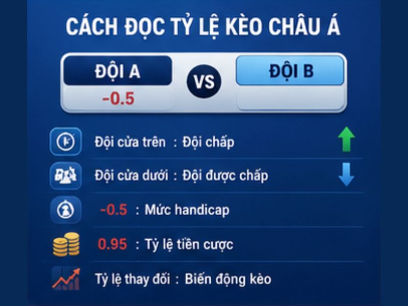 Kèo Châu Á GO8: Cách Đọc, Cách Tính Handicap Chi Tiết