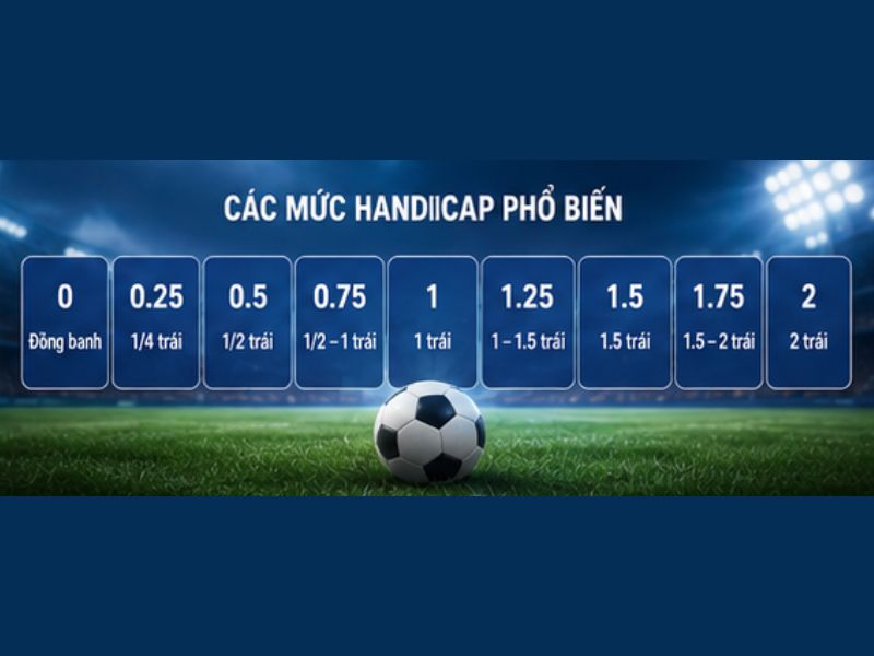 Kèo Châu Á GO8: Cách Đọc, Cách Tính Handicap Chi Tiết