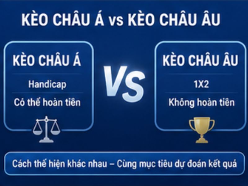 Kèo Châu Á GO8: Cách Đọc, Cách Tính Handicap Chi Tiết