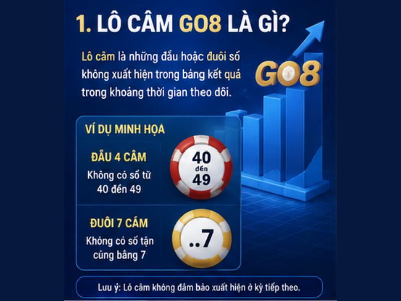 Lô Câm GO8 Là Gì? Cách Thống Kê Và Phân Biệt Lô Gan