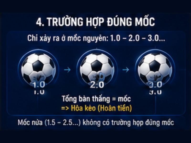 Kèo Tài Xỉu GO8 Là Gì? Cách Đọc Và Phân Tích Kèo Tài Xỉu