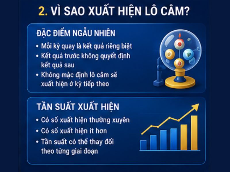 Lô Câm GO8 Là Gì? Cách Thống Kê Và Phân Biệt Lô Gan